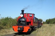 Leader approaches Milton Regis (Asda) Halt September 2012